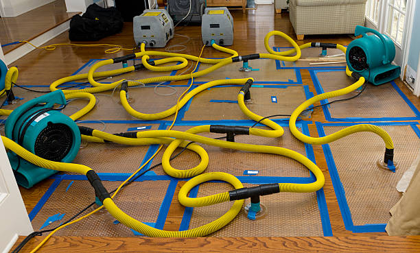 Professional Burst Pipe Water Damage technician working in Ellsworth, ME